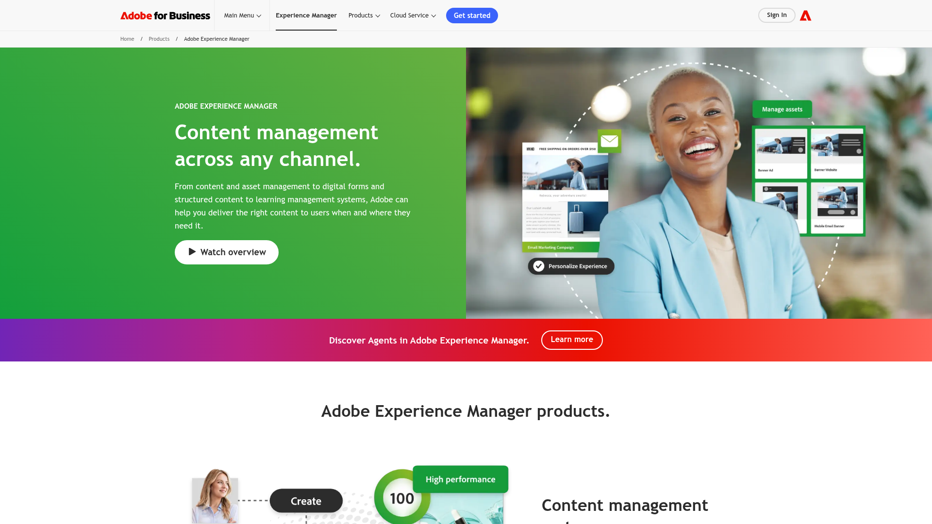 Screenshot of Adobe Experience Manager website