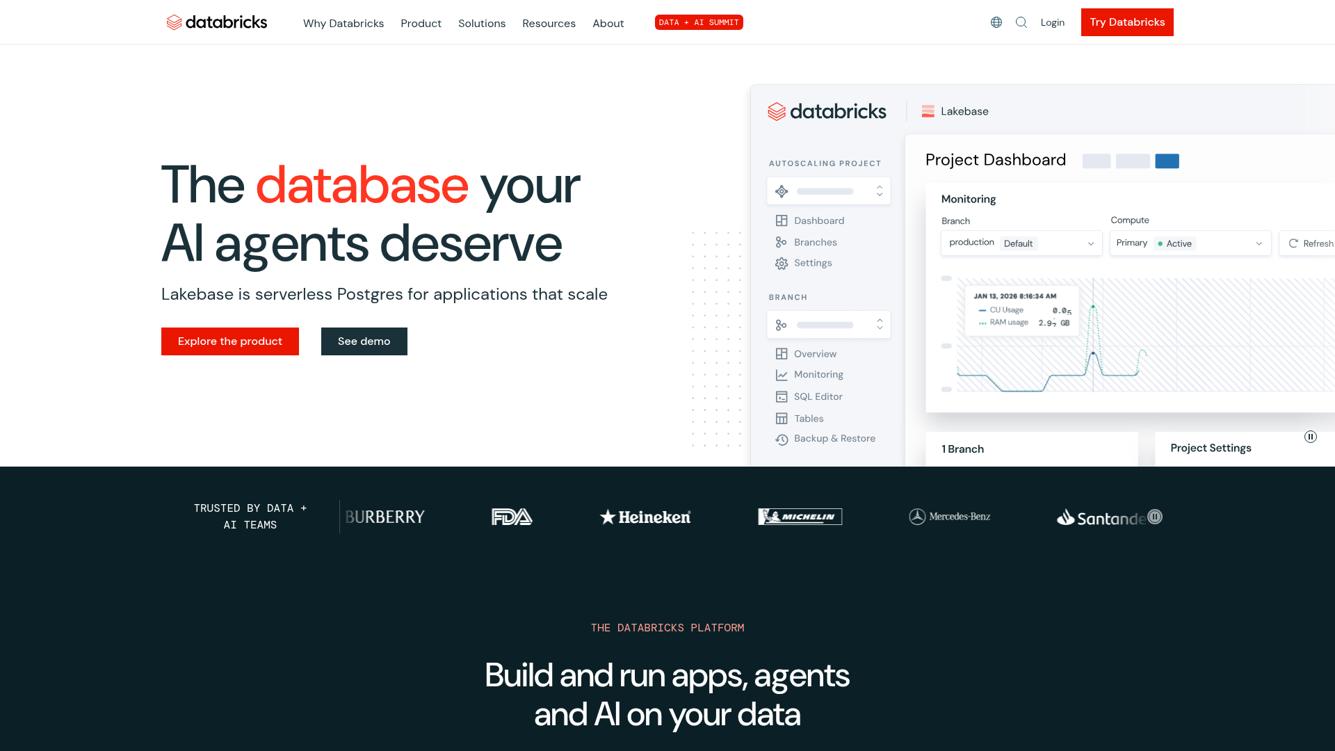 Screenshot of Databricks website