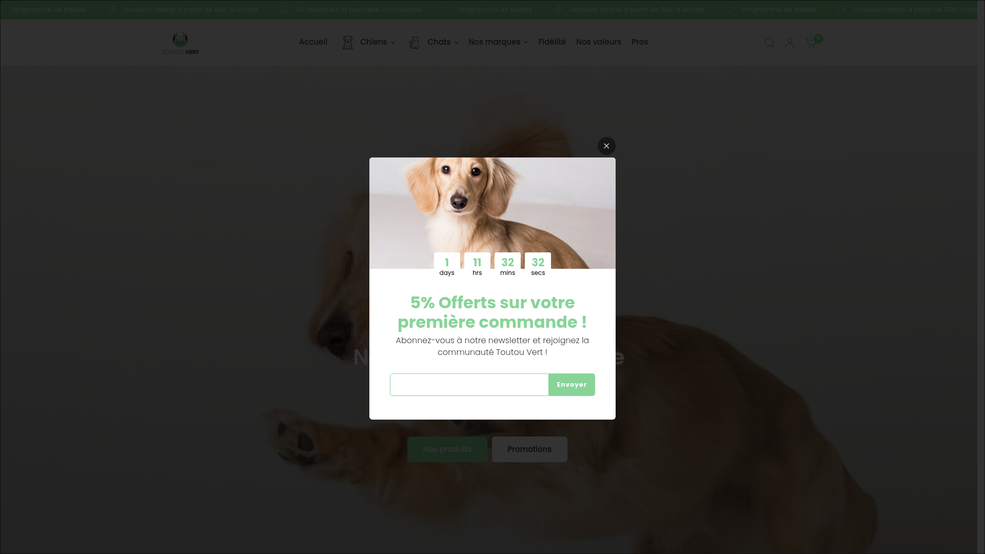 Screenshot of Toutou Vert website